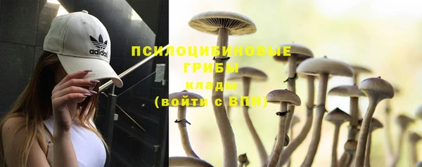 таблы Надым