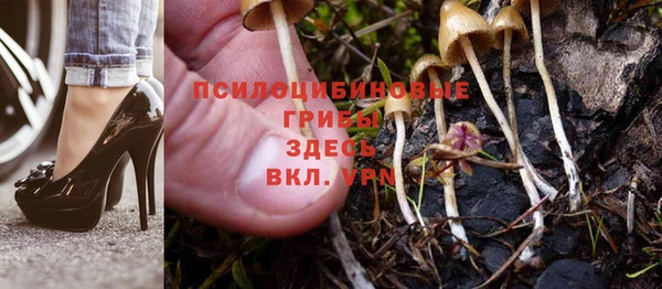 таблы Надым