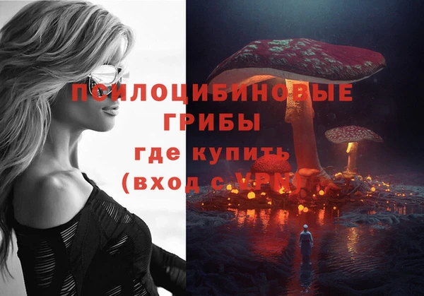 гашик Навашино