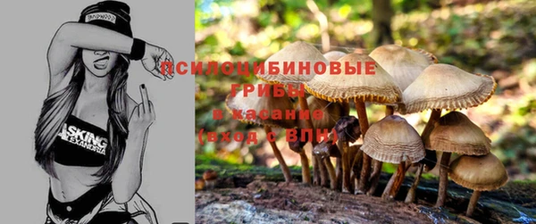 apvp Наволоки