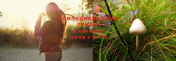 круглые Нефтекумск